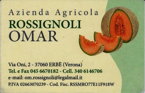 Banner Rossignoli Omar